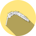 blé
